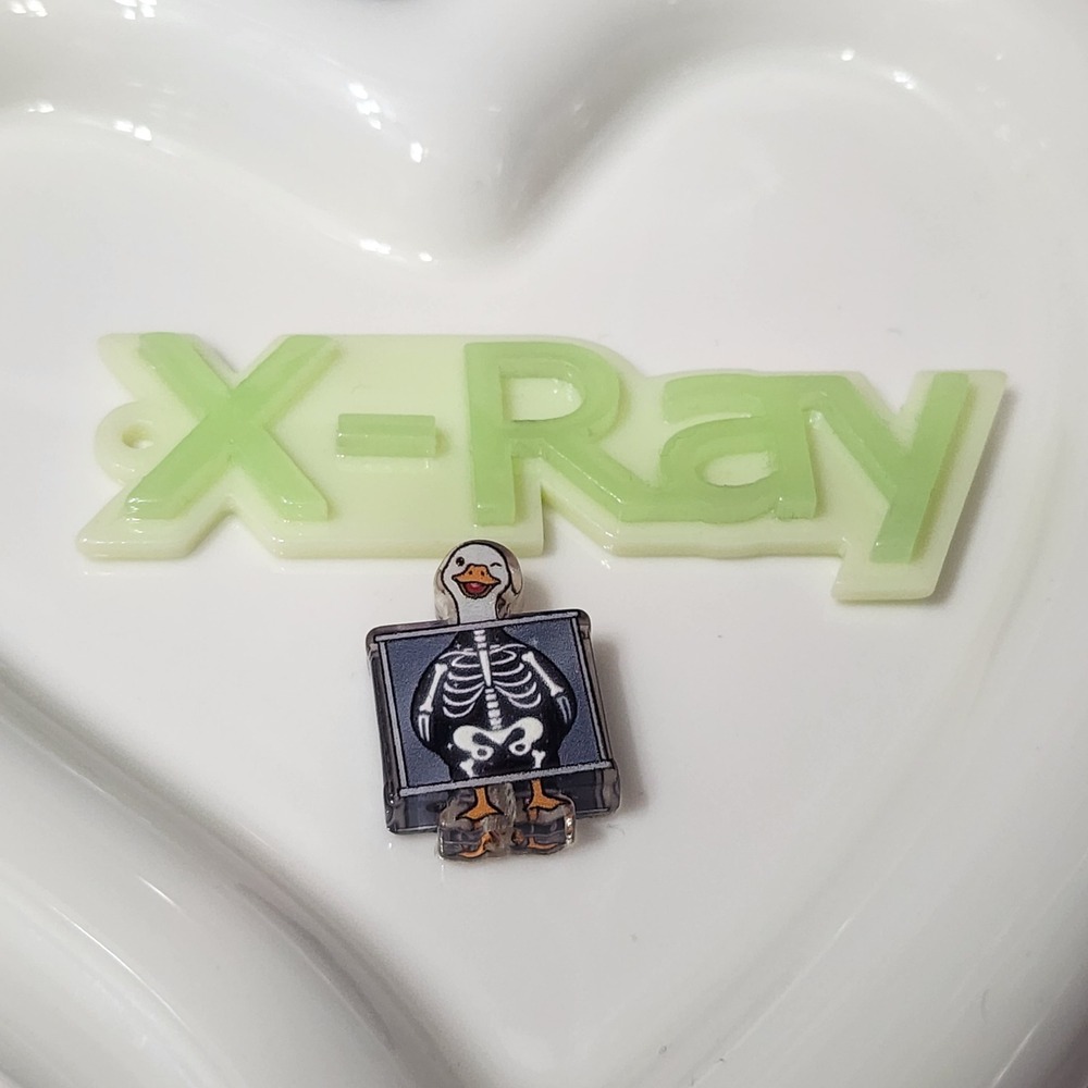 Xray Pendant Focal Bead‎ Keychain Crafts Acrylic Goose Xray Tech Badge Magnet
